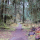 Illustration for article titled This Is the Quietest Place in the United States